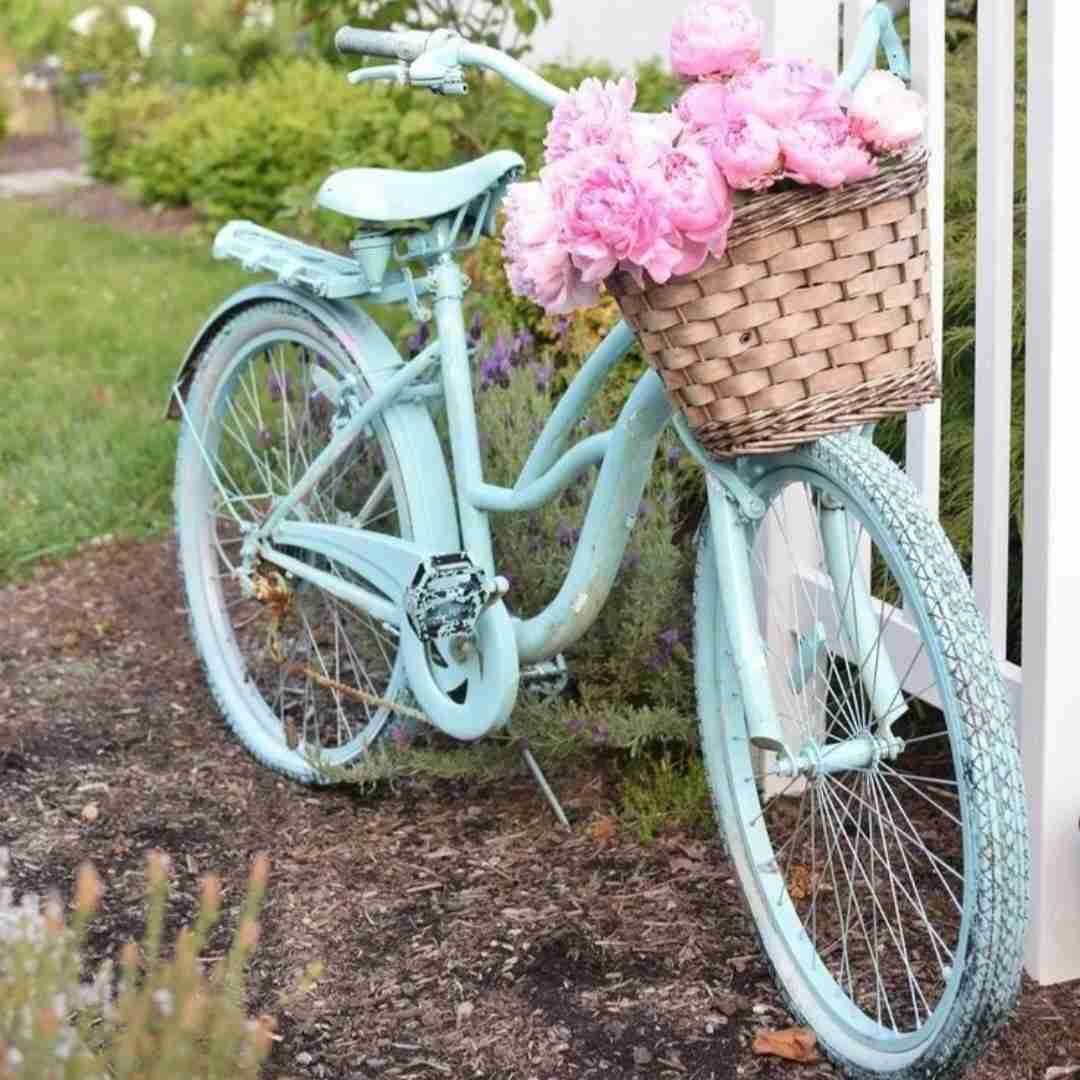  مردادیا خیلی خونگرم و مهربونن با صدای فیفی