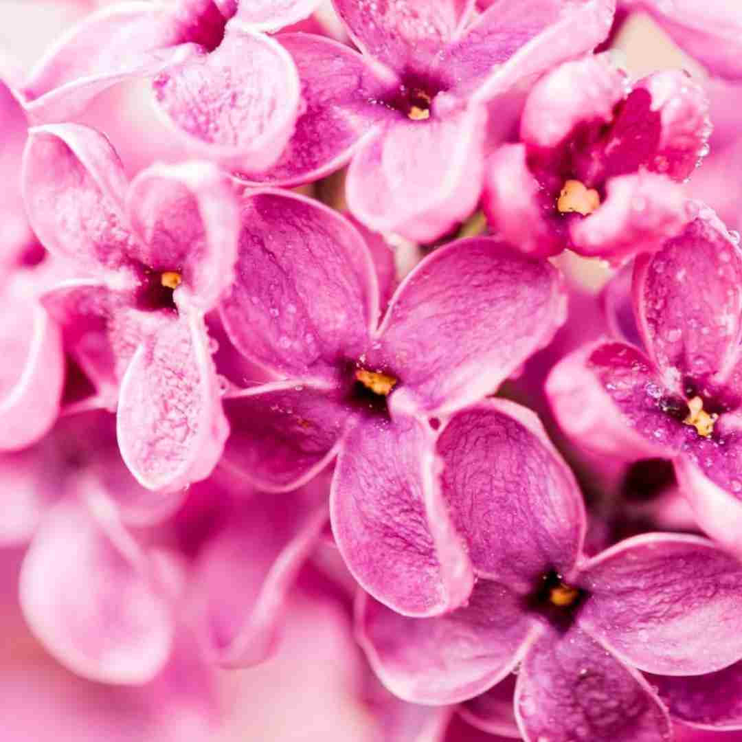  چشمام به آسمونه به حرکت ابر و باد و بارونه با صدای دختر