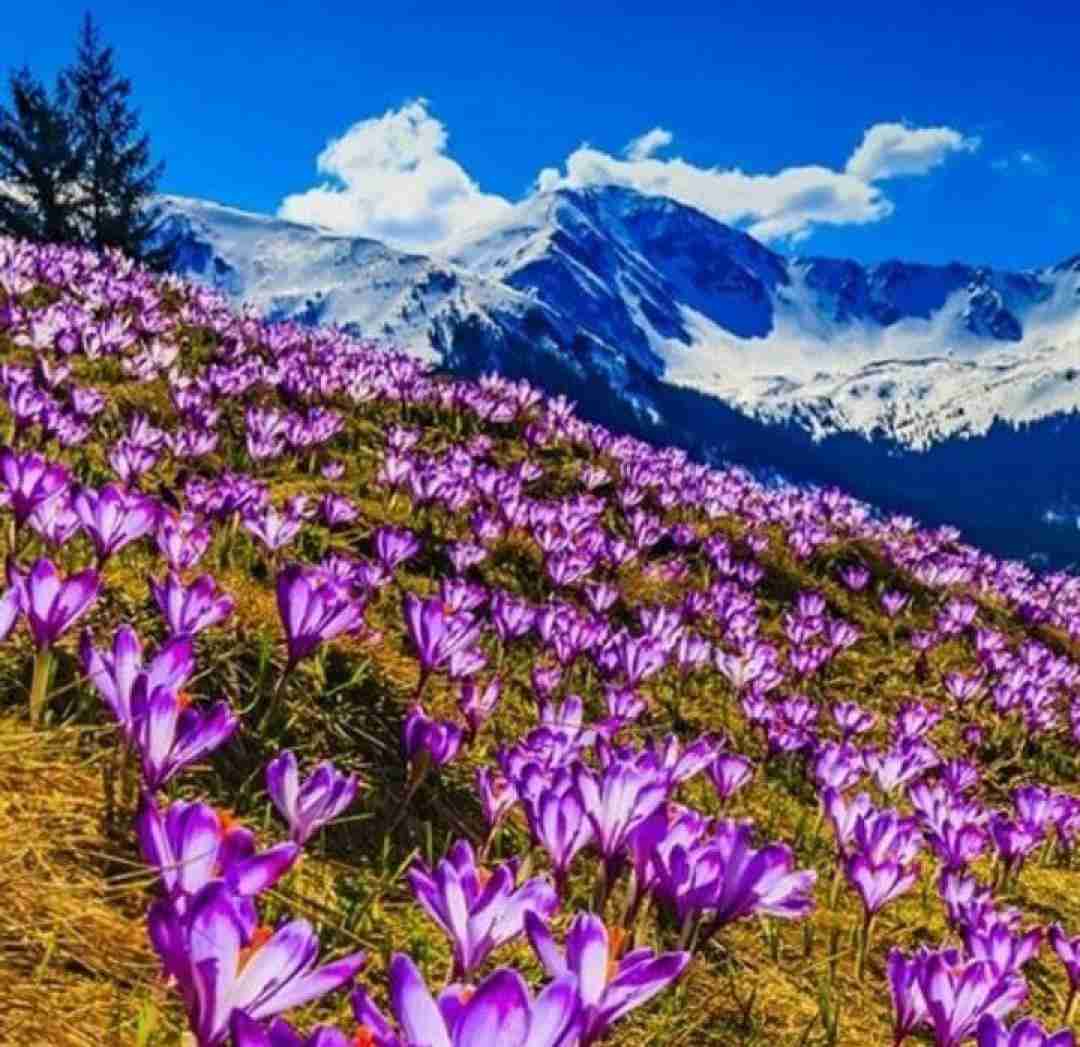 یادم میاد زیر نور ماه گفتم کی بابا