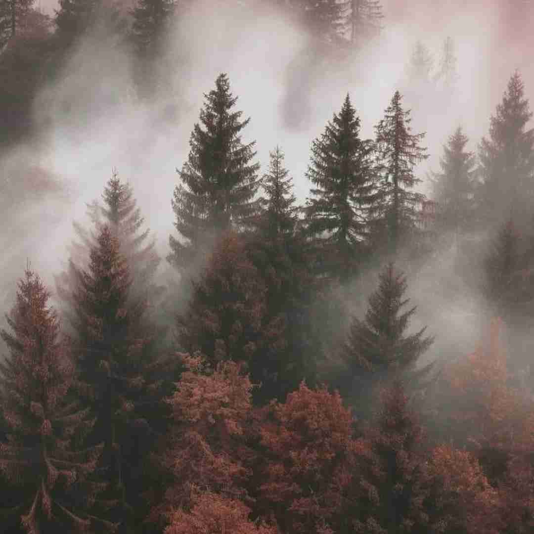 ببینیم گل میندازی لپو میکنی کپو میام با بعدی