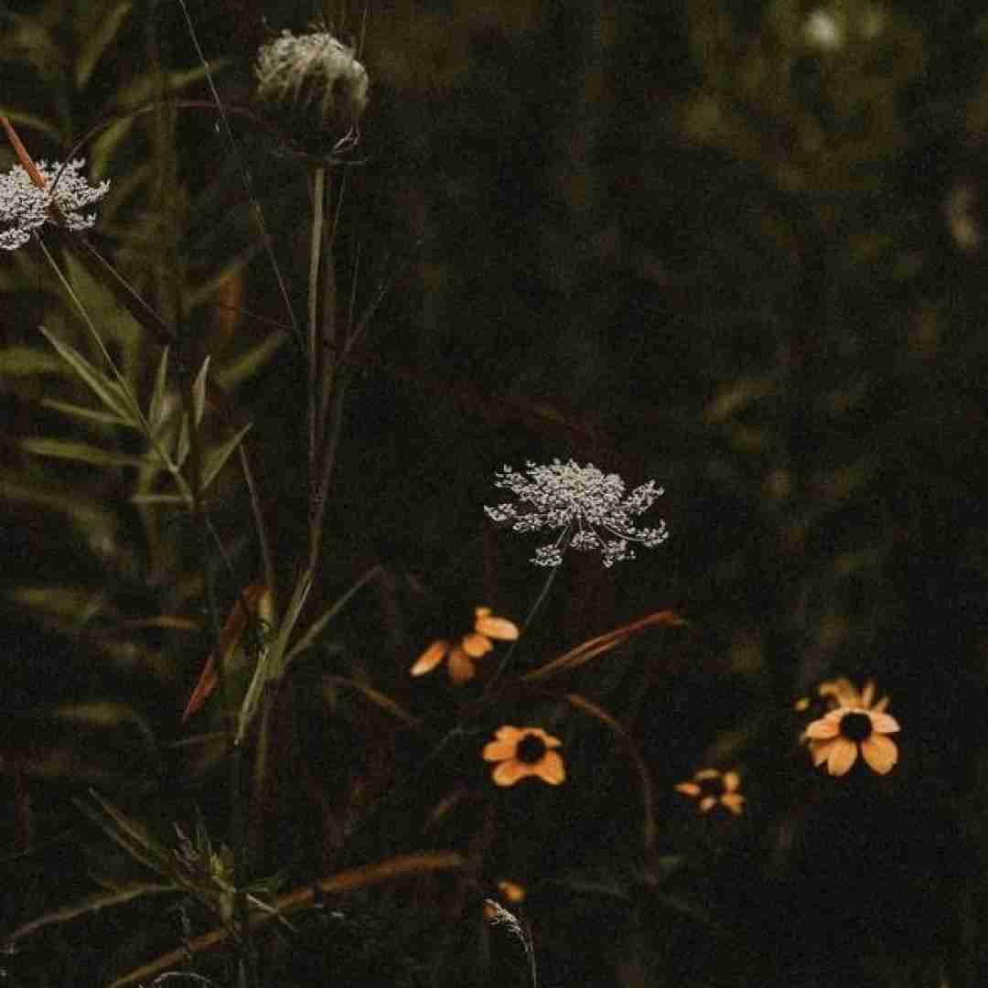 به جون تو دیگه نفس نمونده واسه ی من با صدای دختر