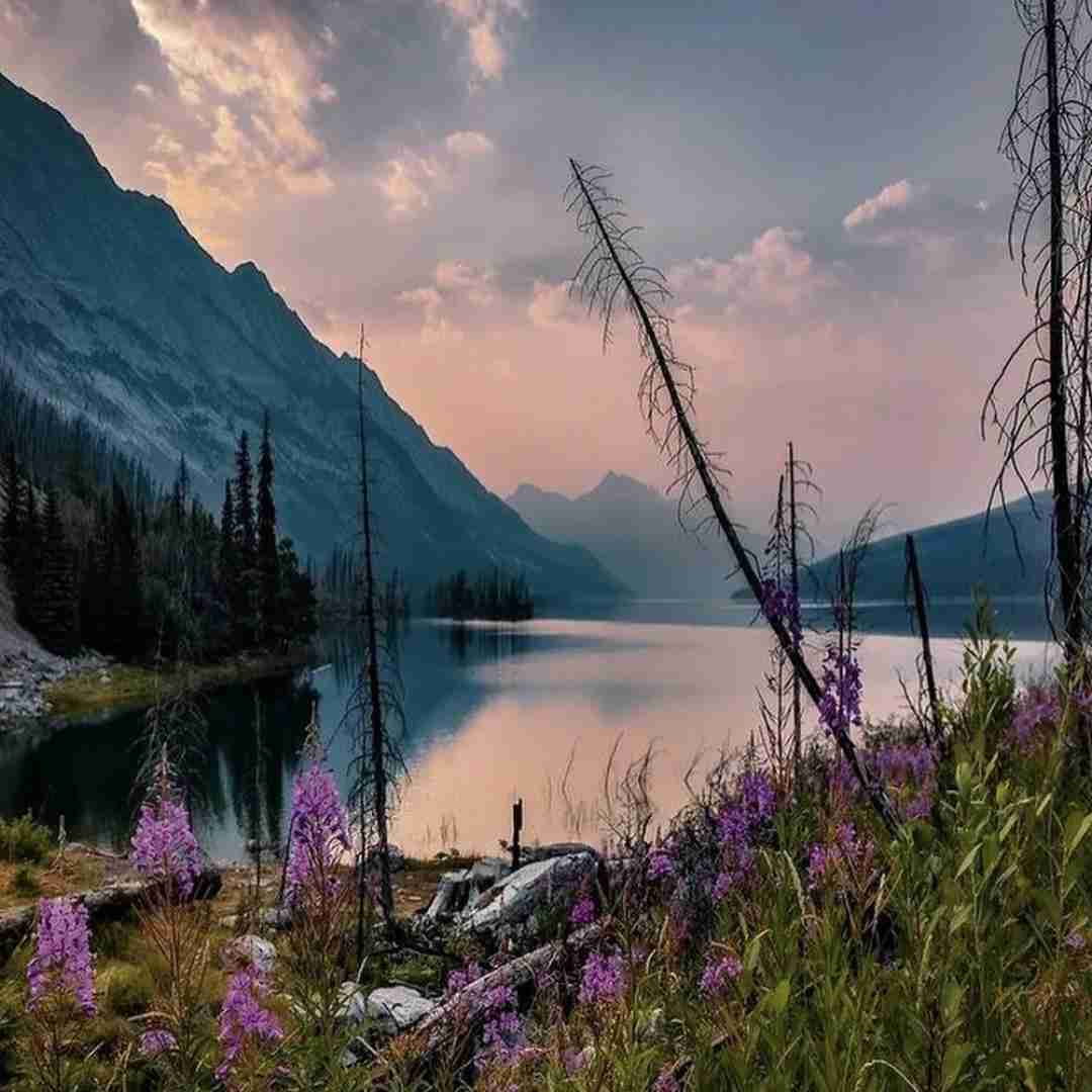  بگو چه قشنگه تنهایی قلبم از شیشه با صدای دختر