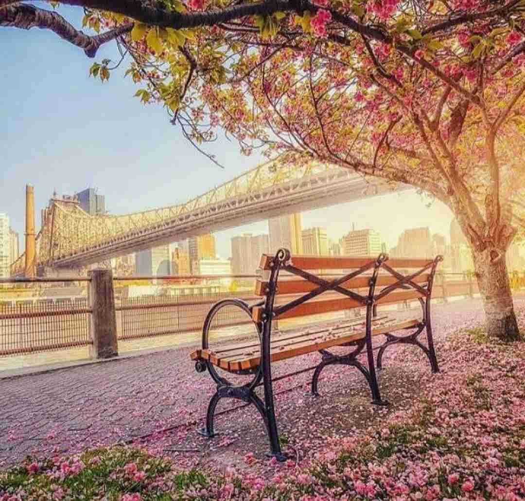 ترکی وقتی نیستی اگه این قلبو روشن کنم با صدای زن