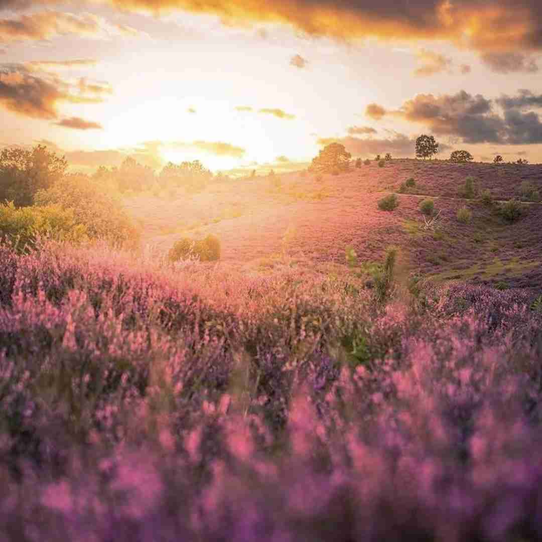 میبینم صورتمو تو آینه با لبی خسته