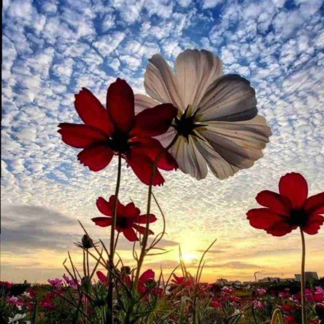  زمان میگیره یکی یکی قهرماناتو