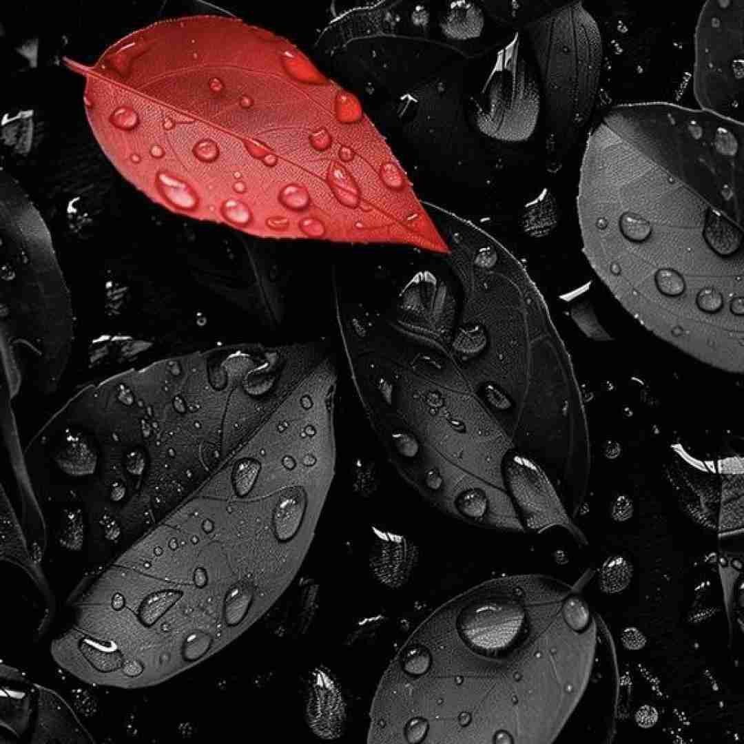 هله دان دان دان هلل یه دان برات میخونم با صدای زن