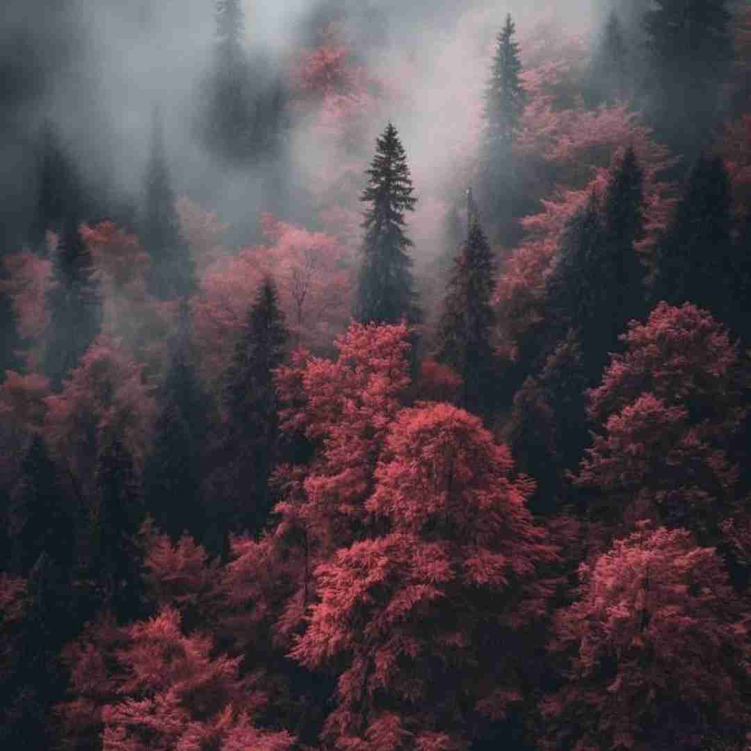 من ازت کمک خواستم و دوباره منو هل دادی با صدای دختر