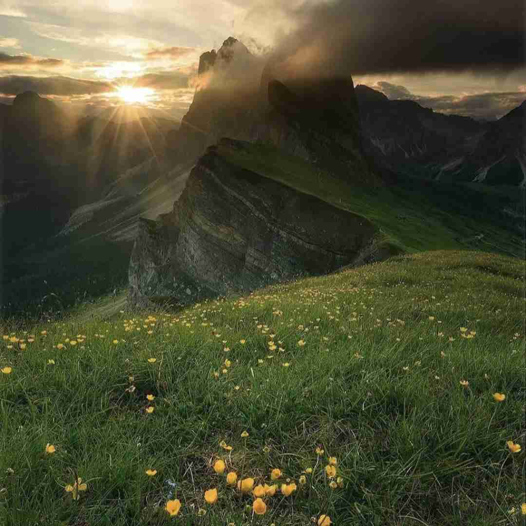 من که آخرم تنهایی میمونم میخورم تلو