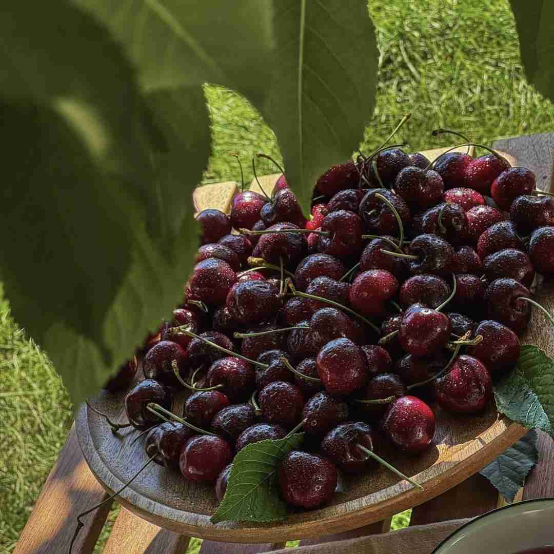  سرمو بازم زدم دیوار چشمام خون قلبم با صدای دختر