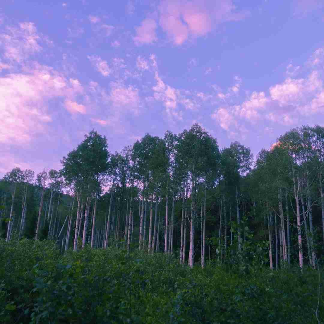 یه بار جوون بودیم نچسبید اونم صدام میگیره