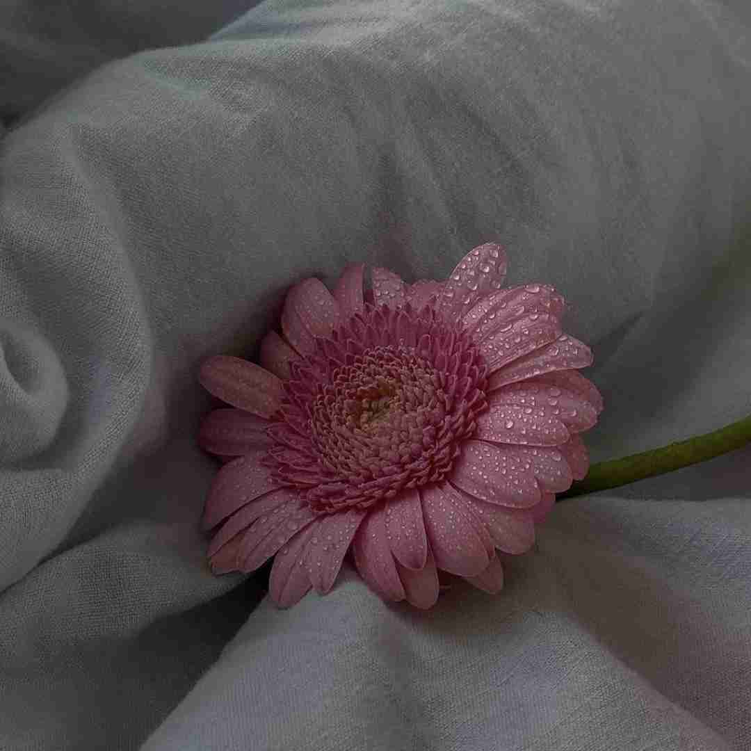 عاشقی هرکی هرکیه کار نیه گل من با صدای دختر