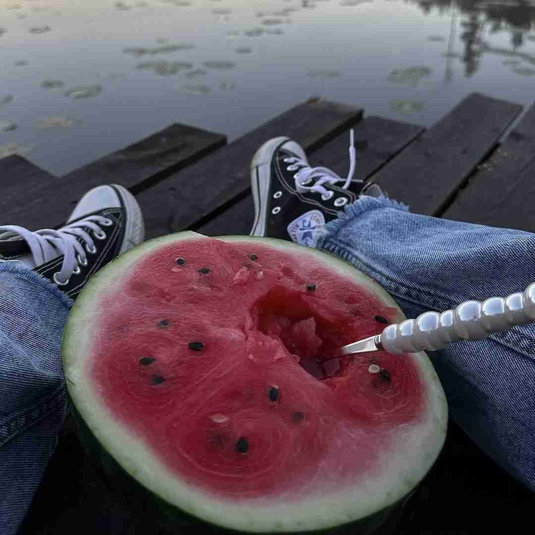 وقتی میگن به جوجه که جوجه قهرمانه