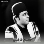 دانلود فول آلبوم قاسم فاضلی کیفیت بالا