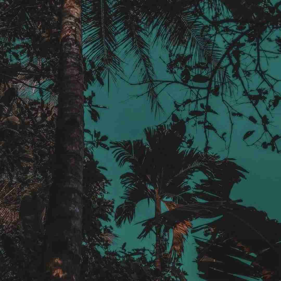 دلم تنگه پرتقال من گلپر سبز با صدای دختر