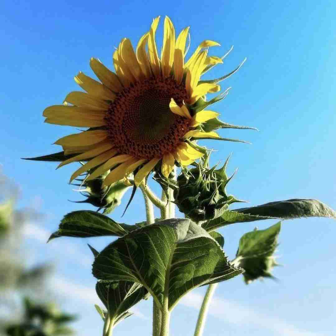  یه شات دیگه دارم تا تگری فاصله من بالام