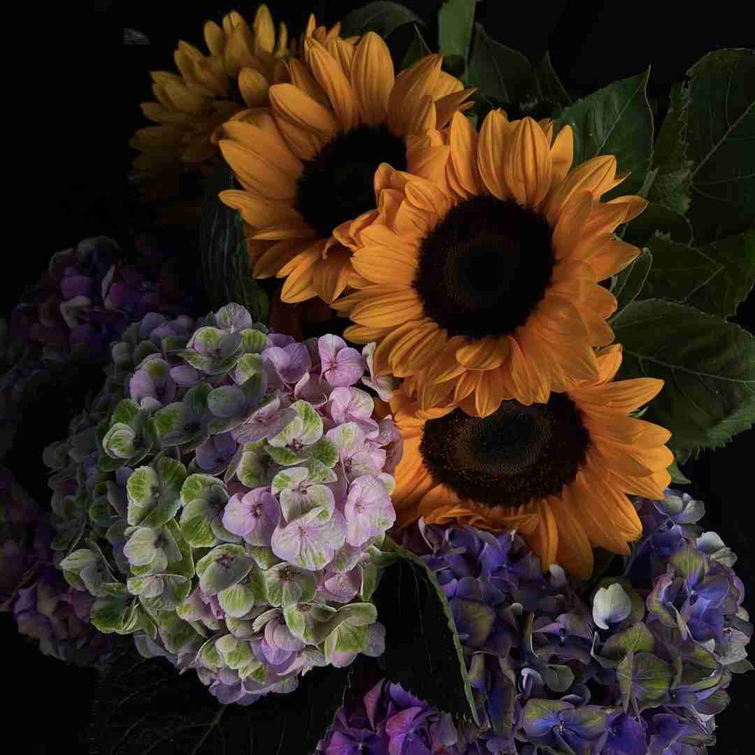 میخوام قلبم سفید شه دوباره من با صدای دختر