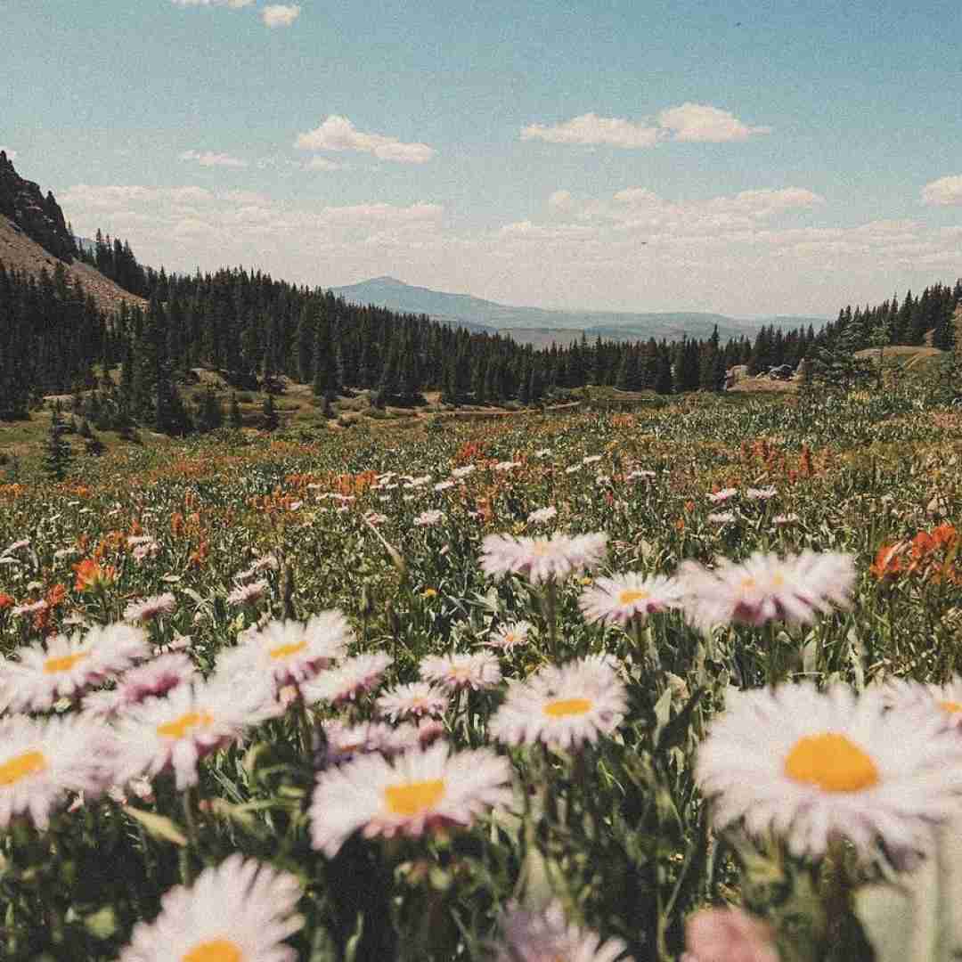 از تراس بپریم آنتن ندیم محاله پلیس بیاد
