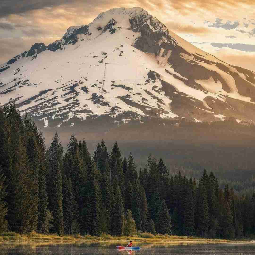  میگه تو نفسی همه کسی دورت بگردم با صدای بچه