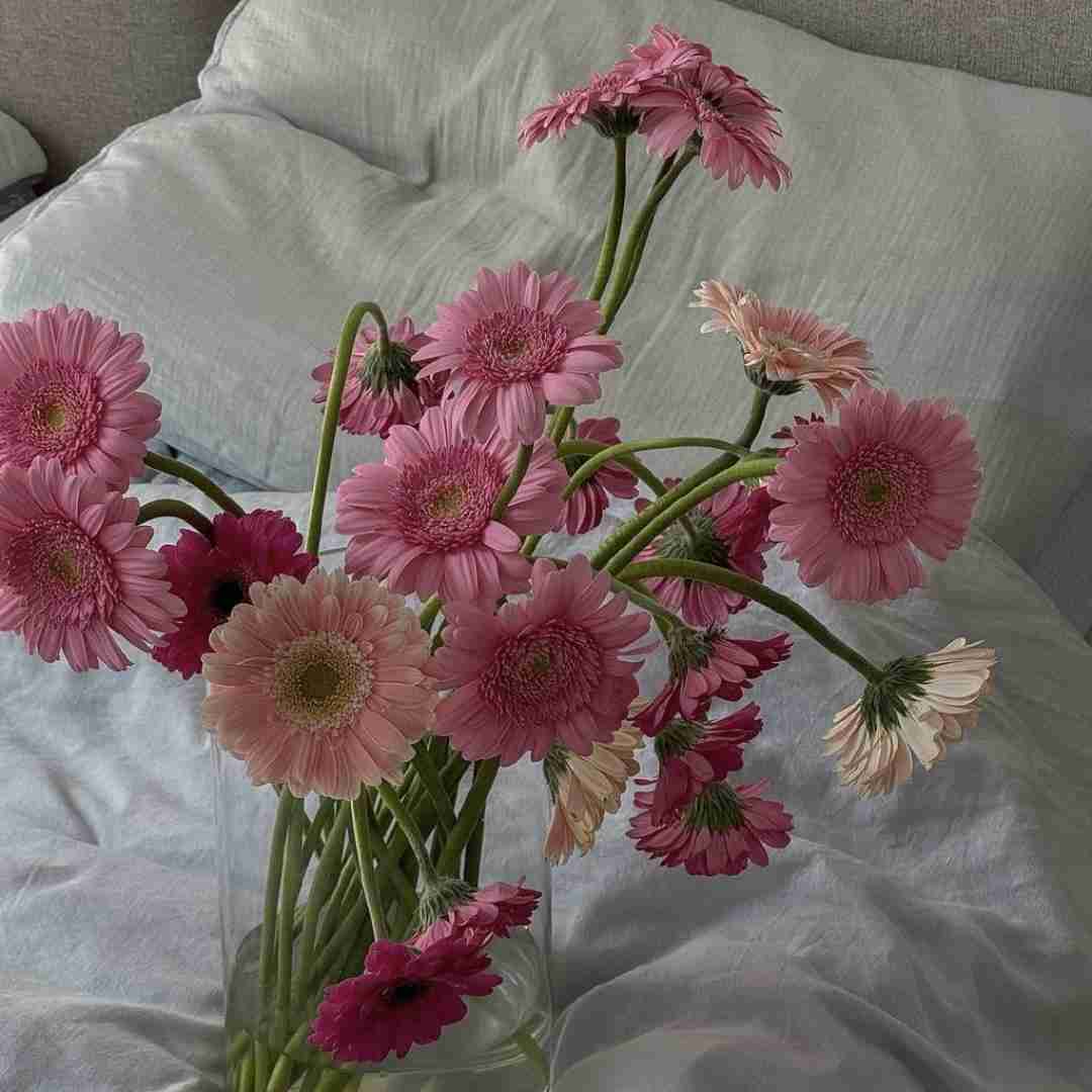 یادم میاد زیر نور ماه گفتم کی بابا