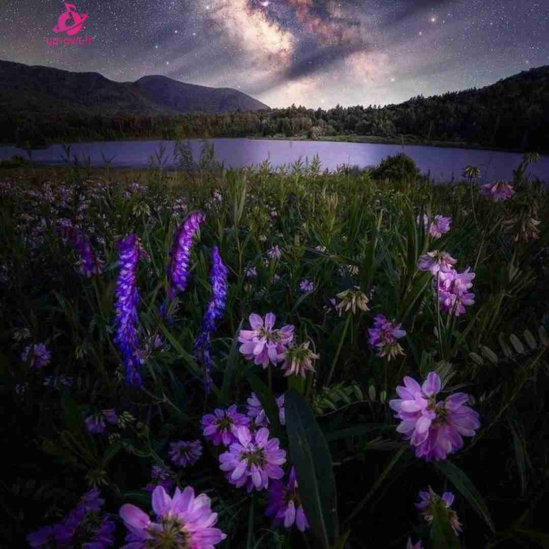  بیبی سریع کام هوم تکست نده بهم کال کن فرنچ