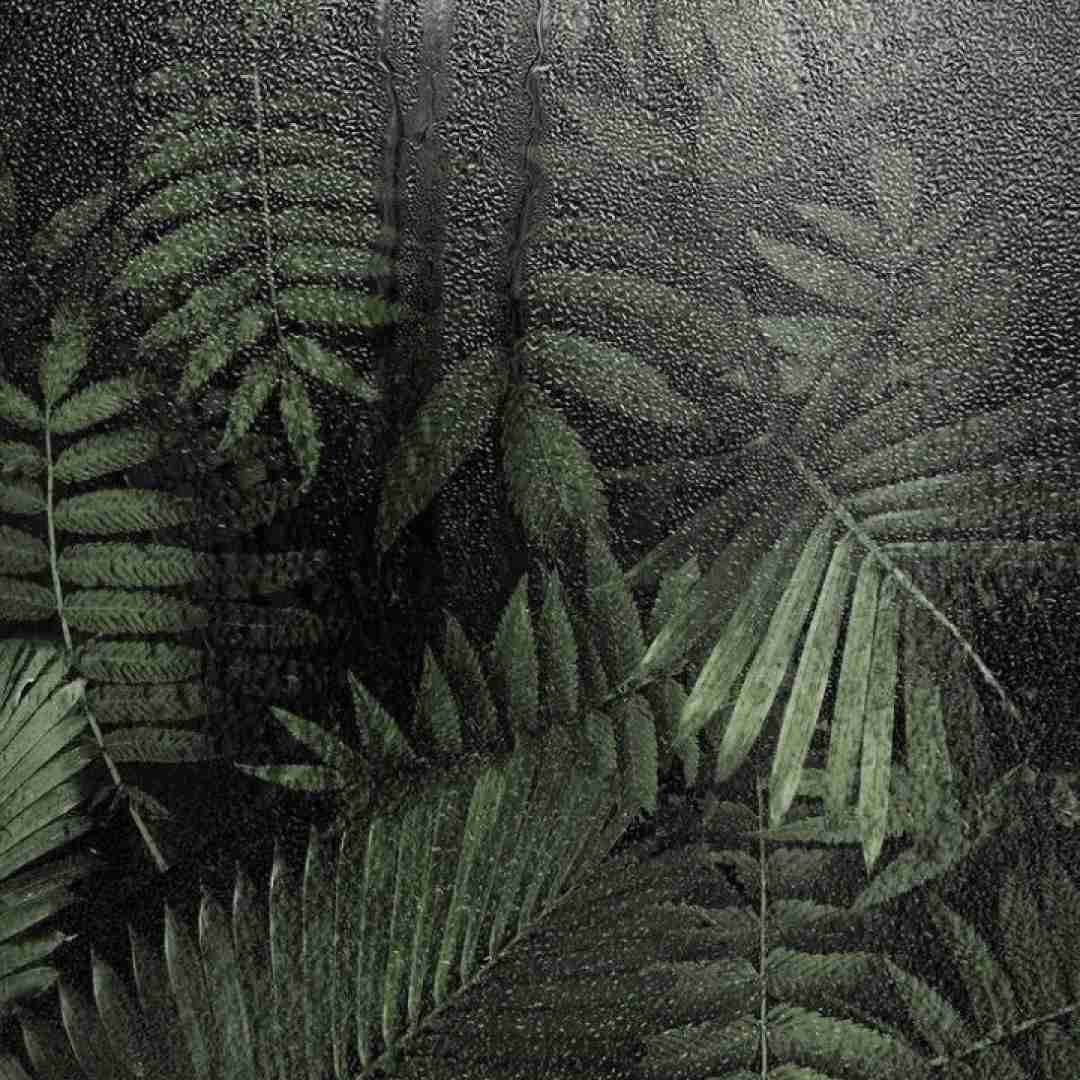 برادر فکر کرده منه میبرم جلو گنگو یه تنه دخیه