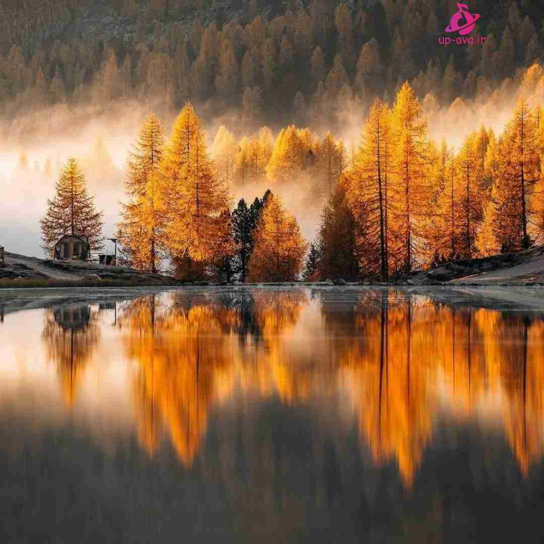 اینجا کجاست آوردینم اون دافا زوم بی دوربینن