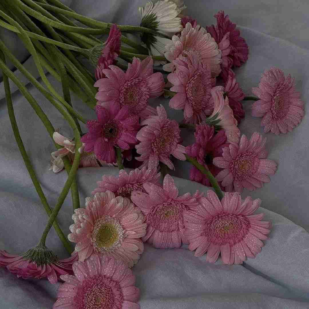 مال من باش که شدم خسته ع این تنهایی ها
