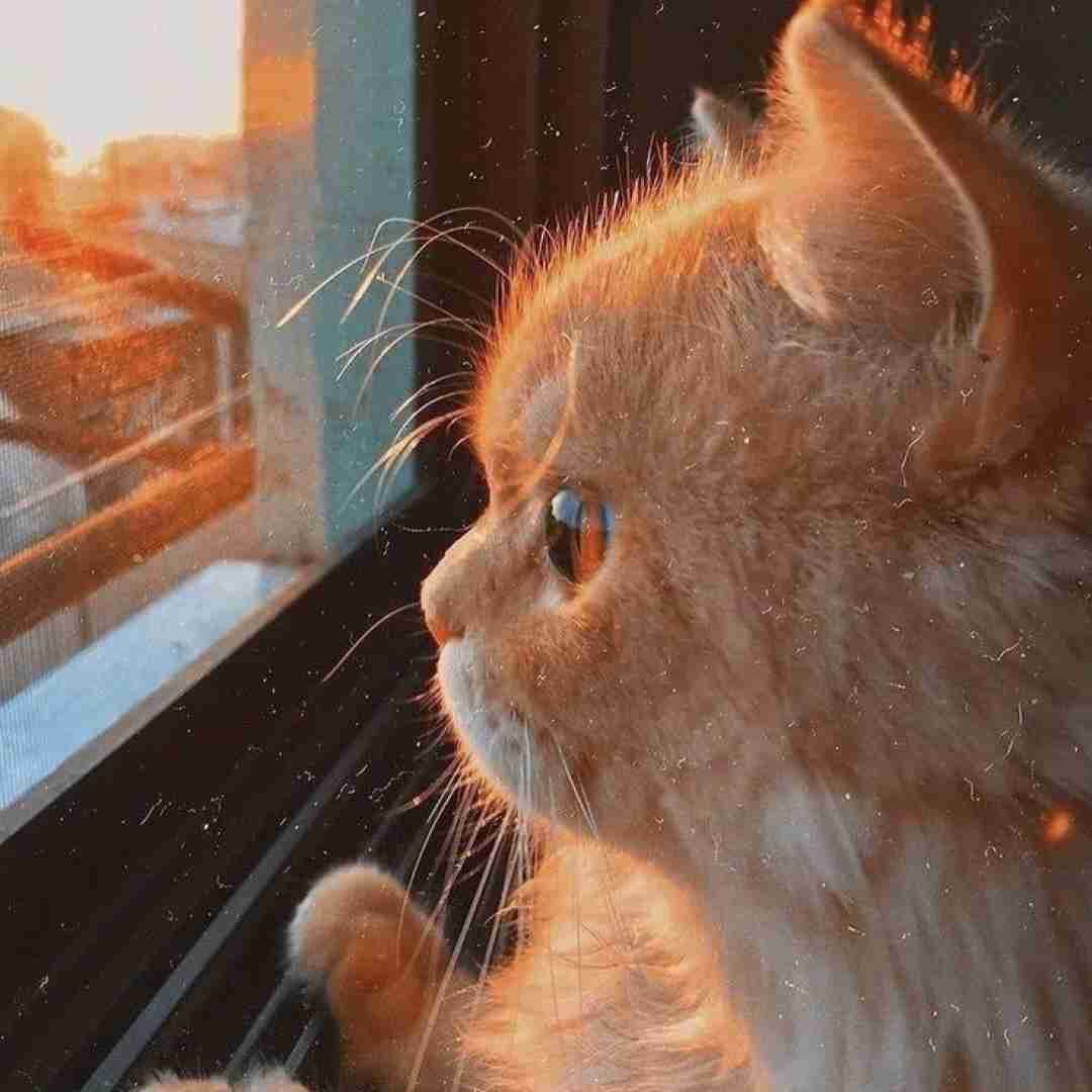  جون مریم چشماتو وا کن با صدای پسر بچه