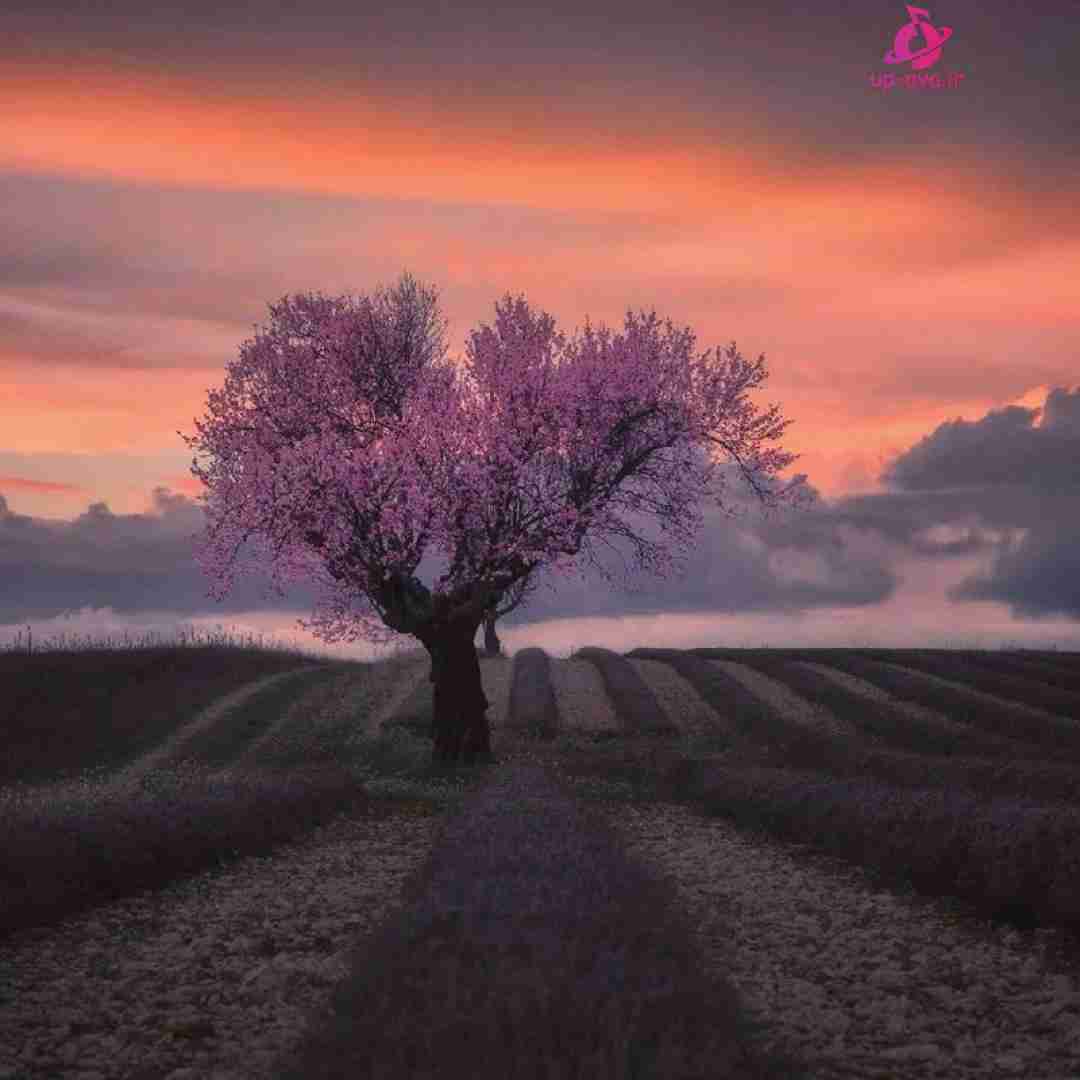  کی میگیره جاتو نفست نفسمو تنگ میکنه حال بدت