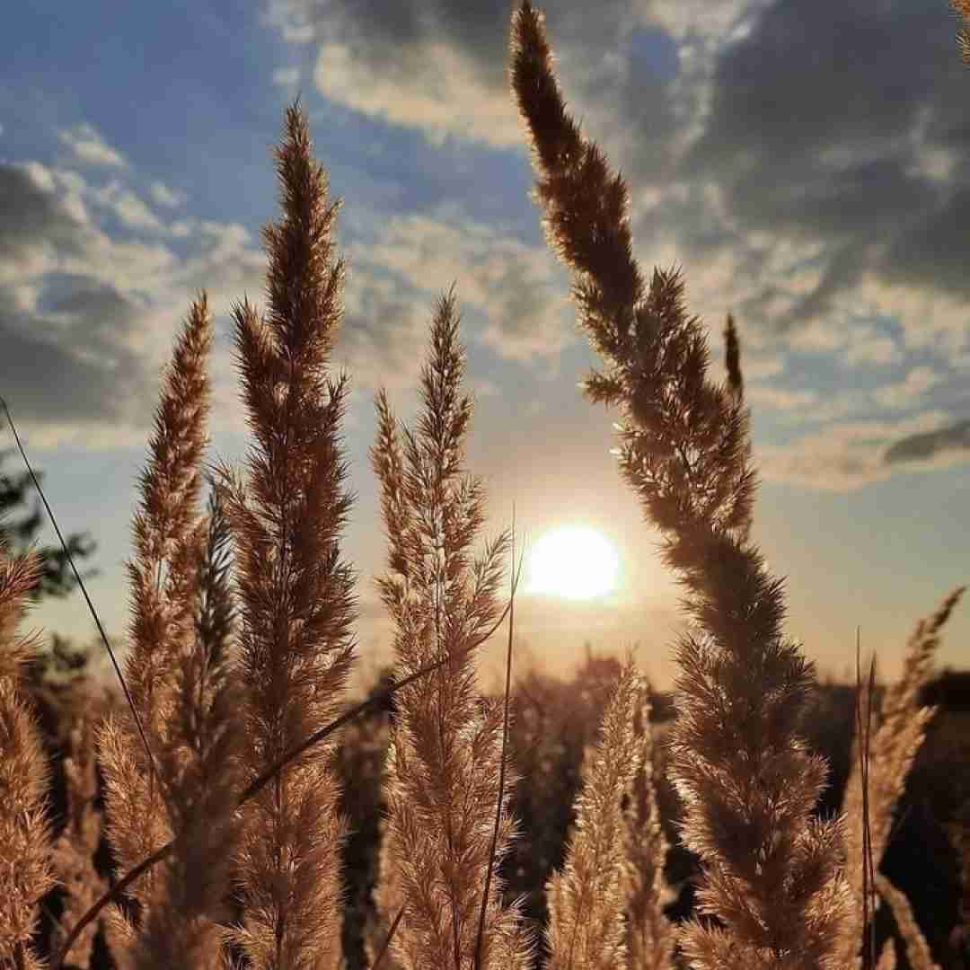 دوریت قلب منو سوزونده از ریشه با صدای زن
