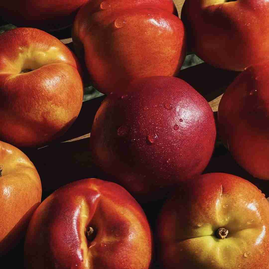  اصلا زمونه میخواد کسی نمونه باهام هوش مصنوعی