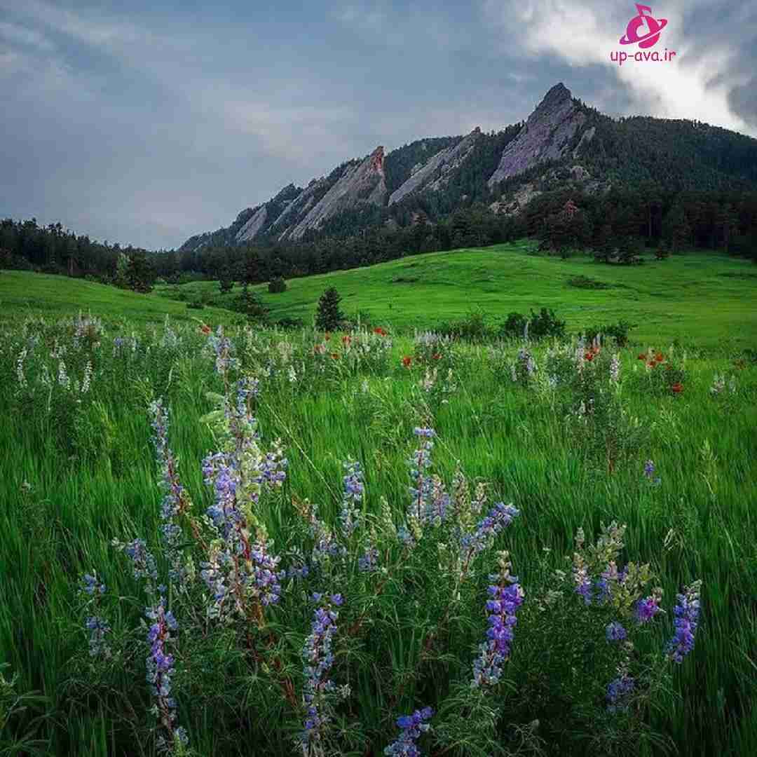 از آسمون داره میاد یه دسته حوری