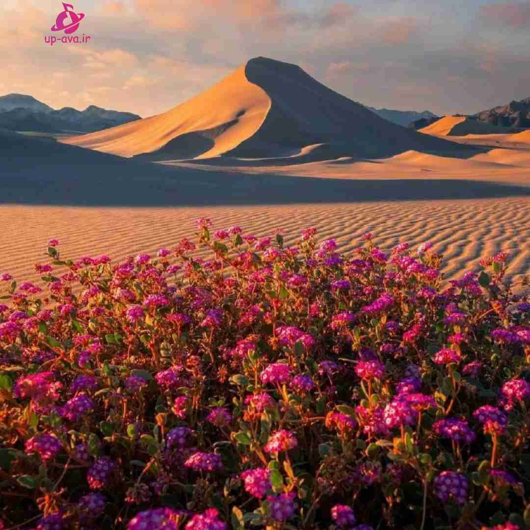 دوس دارم نماز دوس دارم روزه دوس دارم وضو