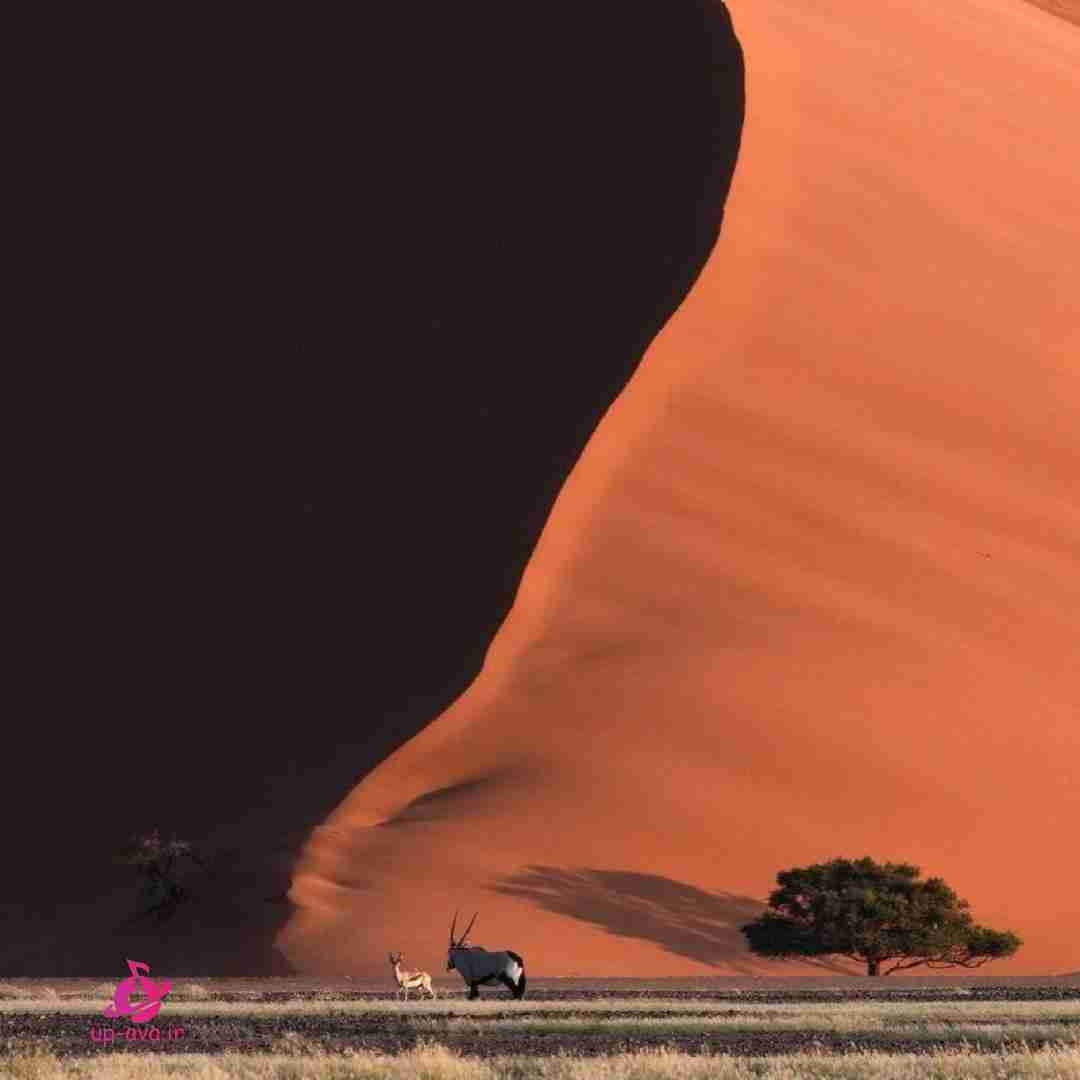 ماهک ار نبینمش خرابم نبین منه خرابه