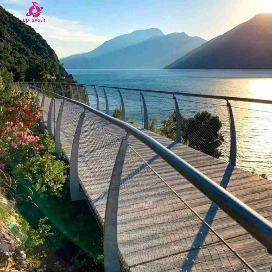 آقا بالا سر نخواستم یار بی سفر نخواستم