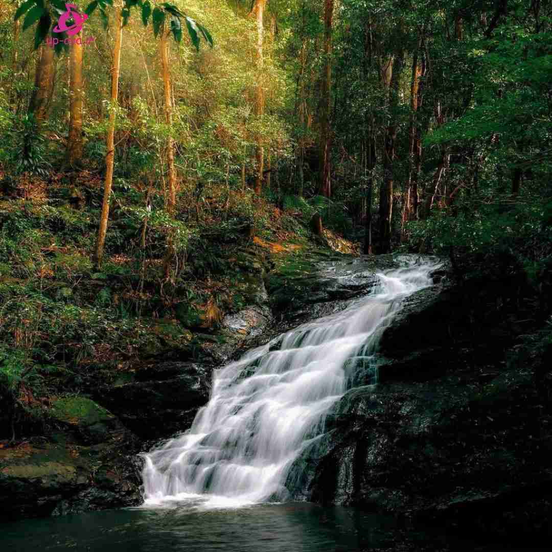  بانو بانو ای بالا بلنگ بلنگ بالا اینستایی