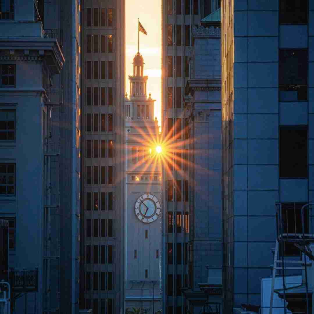 پنج تا ماشین پلیس هستن دم در شب اجرام