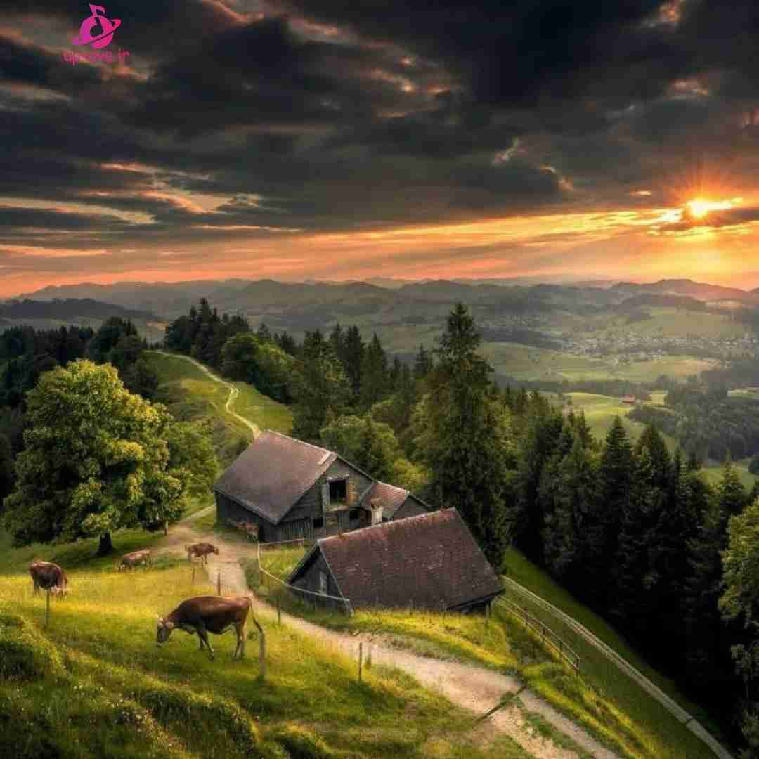 فکر کردم فراموشت کردم تموم ولی لیوانم پر خاطره