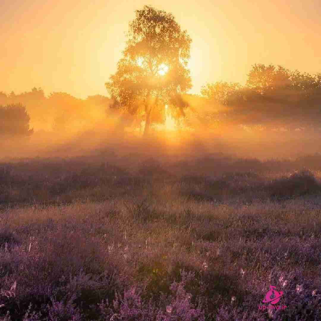  یلدا شده باز دوباره دل واسه خنده هات با صدای زن