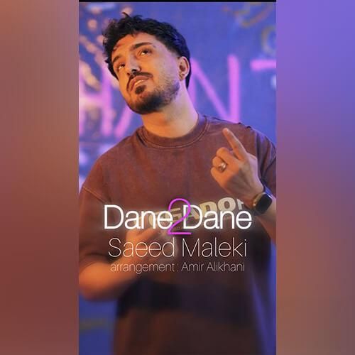 سعید ملکی دانه دانه 2