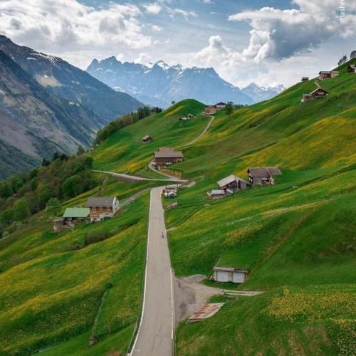 میگه صادی بابا میای پارتی با ما من دوست دارم