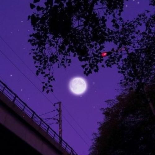  بابایی من گرسنمه بهم غذا بده سوسیس بیا