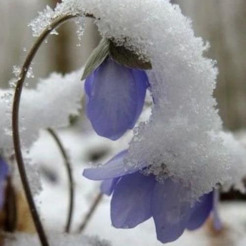  من حالم خوب نمیشه دیگه قرصا تاثیر نمیزارن روم هوش مصنوعی