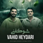 دانلود آهنگ جدید شو کفنی از وحید حیدری دانلود آهنگ جدید شو کفنی از وحید حیدری