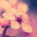 هر شب مستم پاتیلم بد زد خالیبند هر شب مستم پاتیلم بد زد خالیبند 