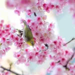 دانلود آهنگ جدید عوض شدی یکم پشیمونی یکم