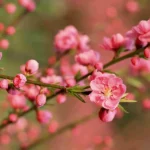 دانلود آهنگ جدید دیشب اومدم خونتون نبودی راستشو بگو بهم با کی لالا کرده بودی دانلود آهنگ جدید دیشب اومدم خونتون نبودی راستشو بگو بهم با کی لالا کرده بودی